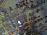 image of grave number 219857